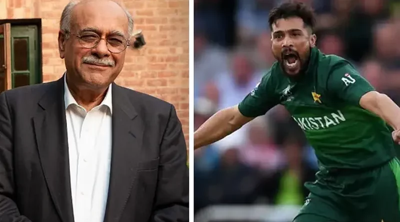 najam-sethi-amir