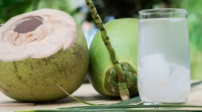 coconut water