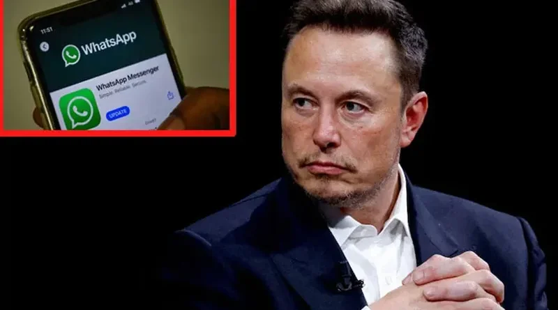 Elon Musk Whatsapp