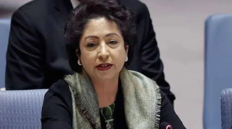 Maleeha Lodhi