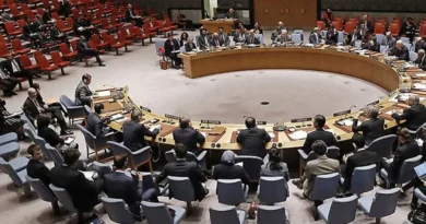 Security Council