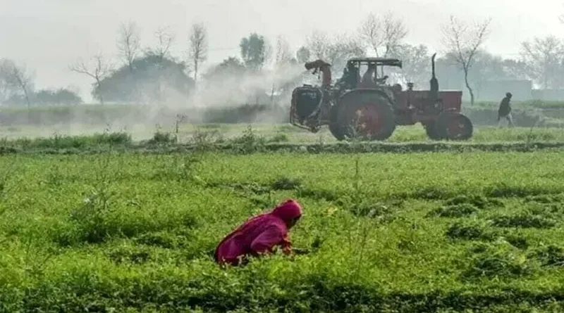 agriculture